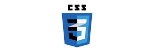 CSS 3